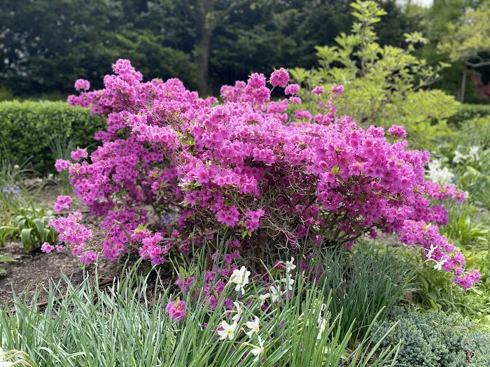 Heather Garden Picture 1