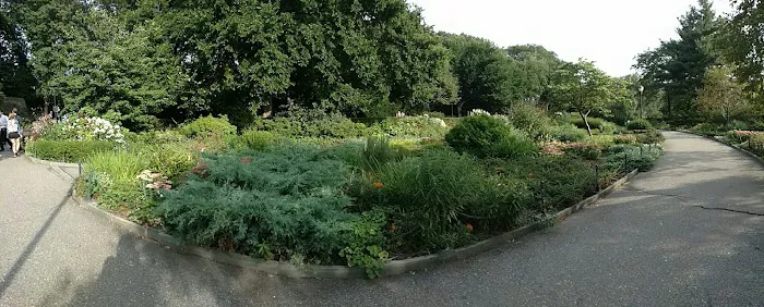 Heather Garden Picture 3