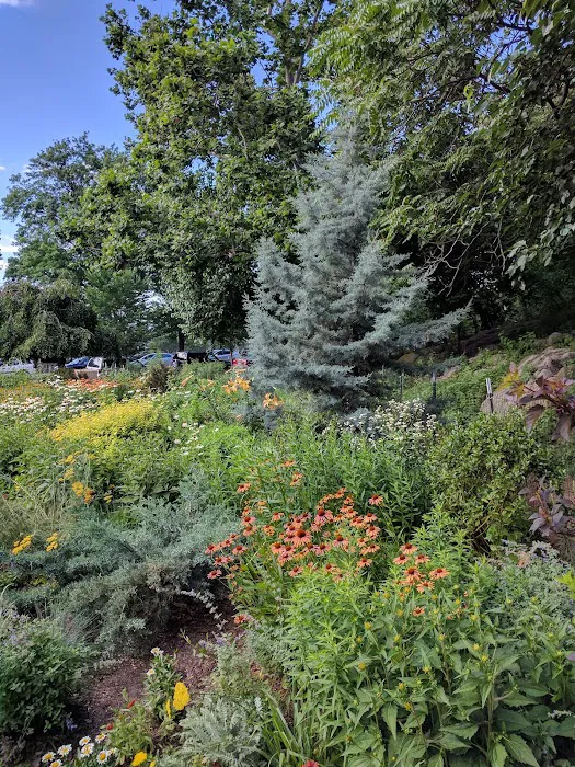 Heather Garden Picture 2