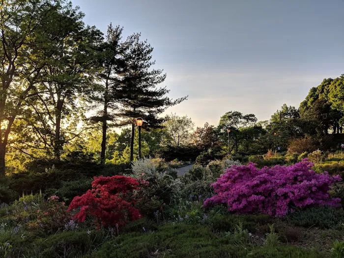 Heather Garden Picture 7