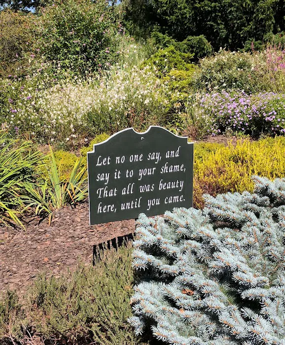 Heather Garden Picture 9