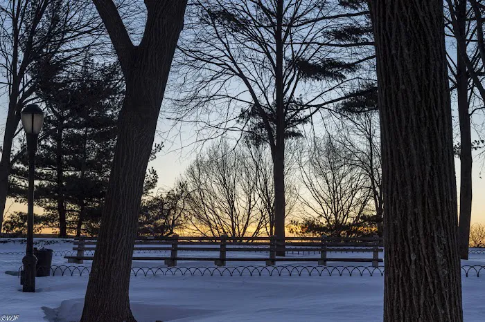Billings Lawn Picture 5