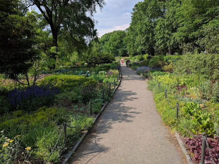 Billings Lawn Picture 6