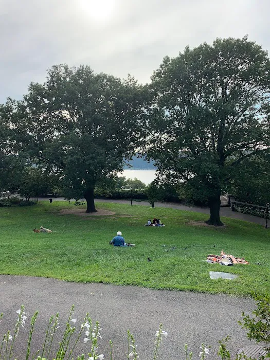 Billings Lawn Picture 4