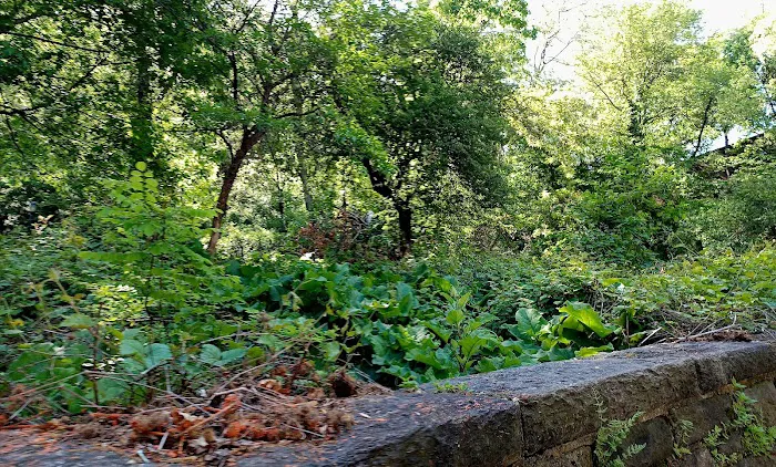 Amelia Gorman Park Picture 1