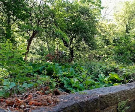 Amelia Gorman Park