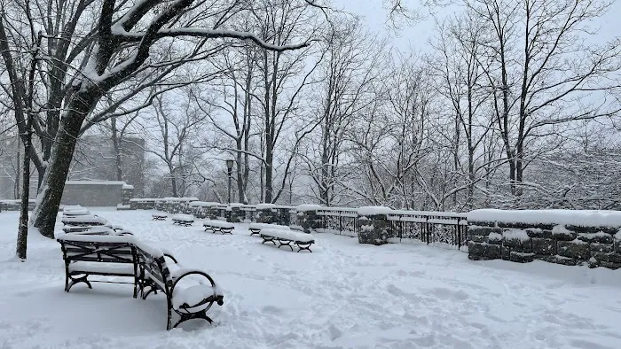 Amelia Gorman Park Picture 6