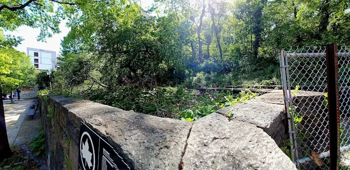 Amelia Gorman Park Picture 3