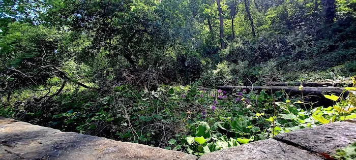 Amelia Gorman Park Picture 9