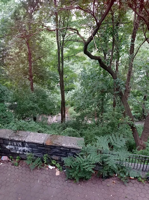 Amelia Gorman Park Picture 7