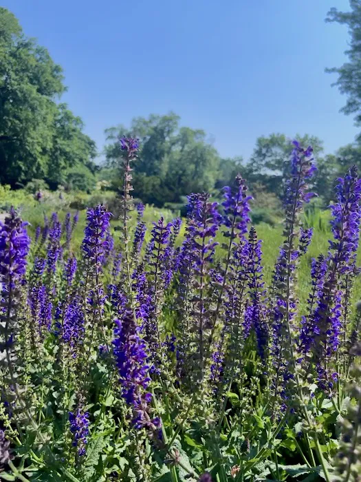 Fort Tryon Park Picture 1