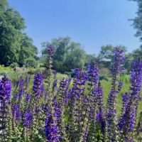 Fort Tryon Park ico