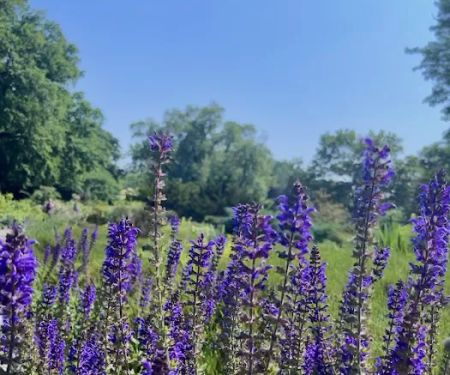 Fort Tryon Park