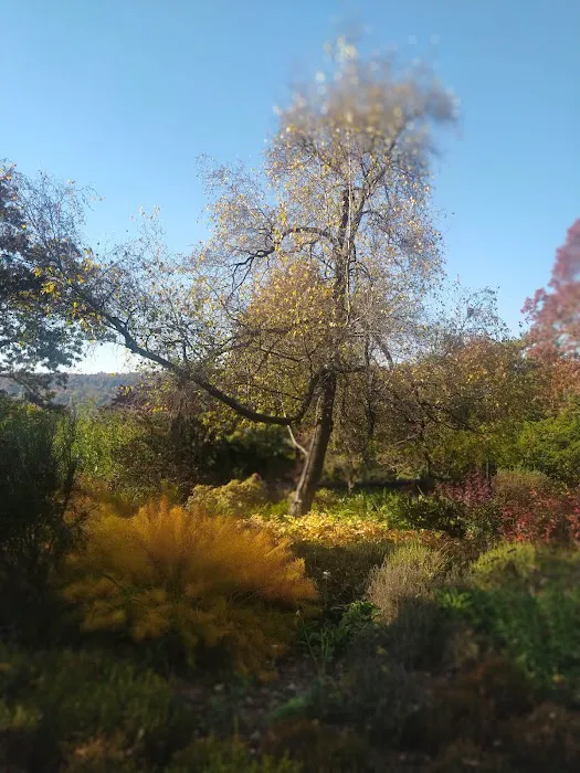 Fort Tryon Park Picture 7