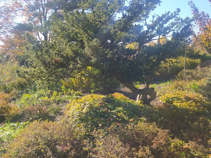 Fort Tryon Park Picture 10