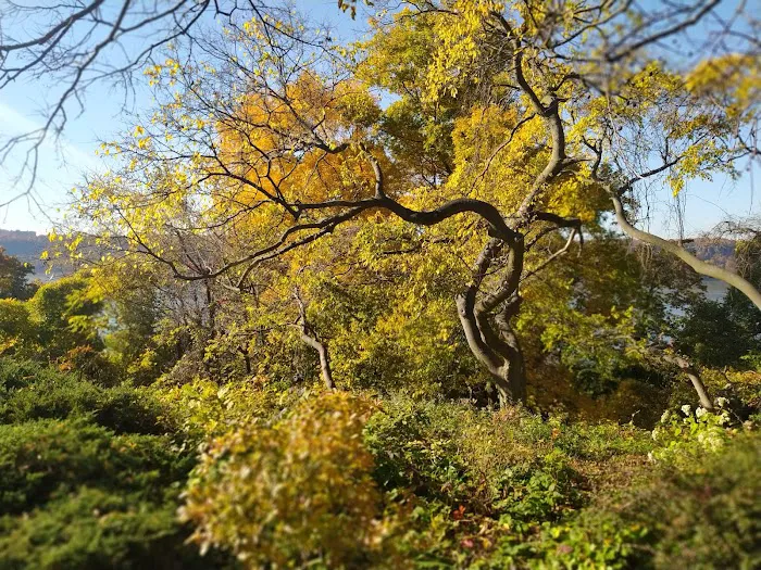 Fort Tryon Park Picture 2