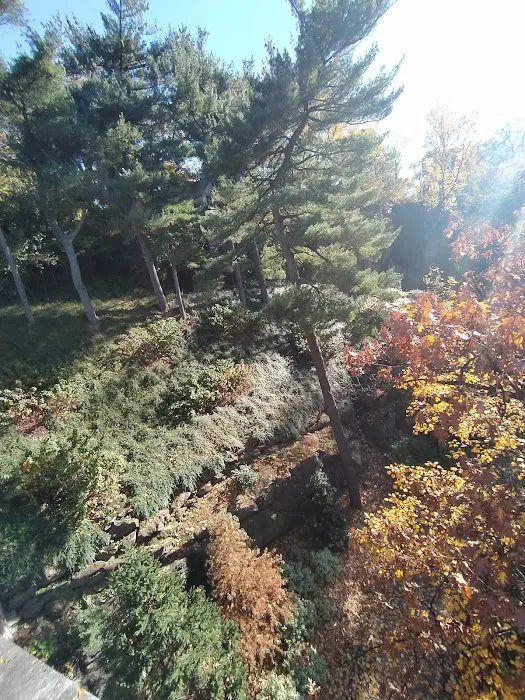 Fort Tryon Park Picture 4