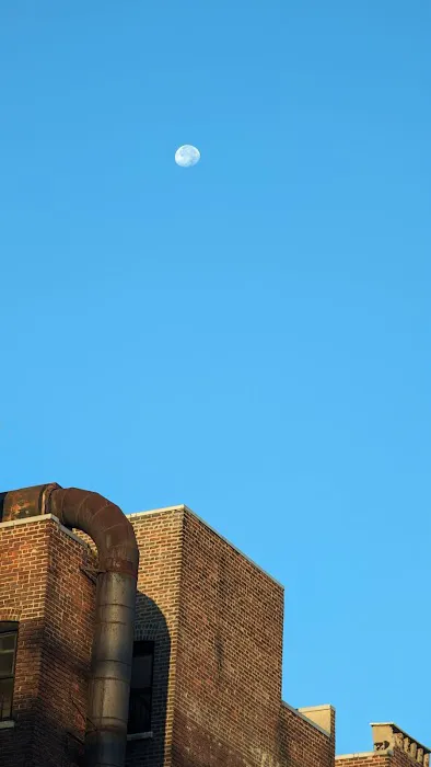 David Friedland Square Picture 2