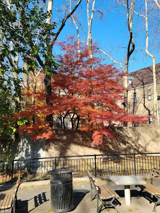 Highbridge Park Picture 8