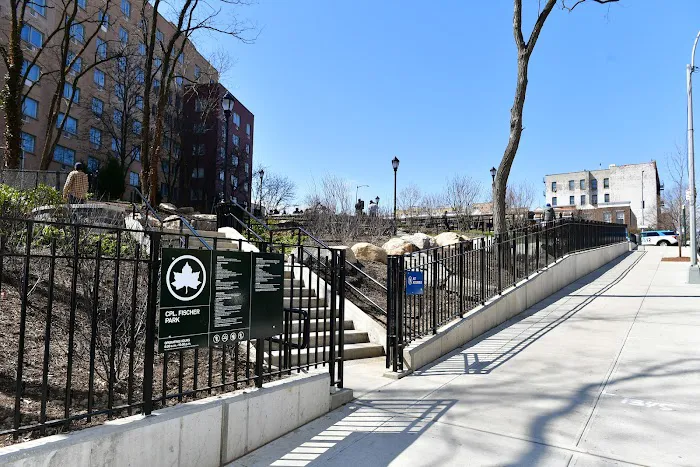 Roberto Clemente Community Garden Picture 7