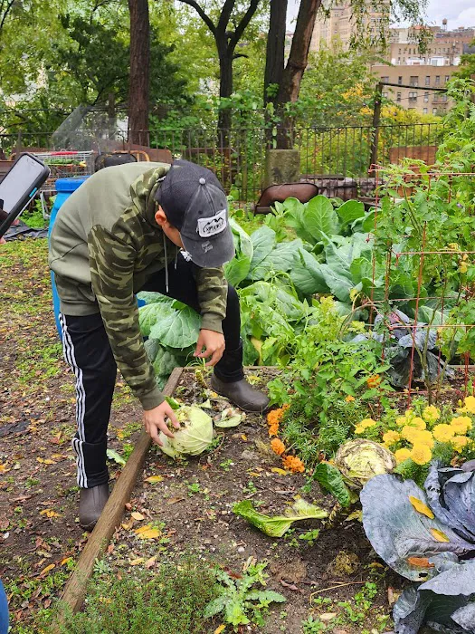 Roberto Clemente Community Garden Picture 10