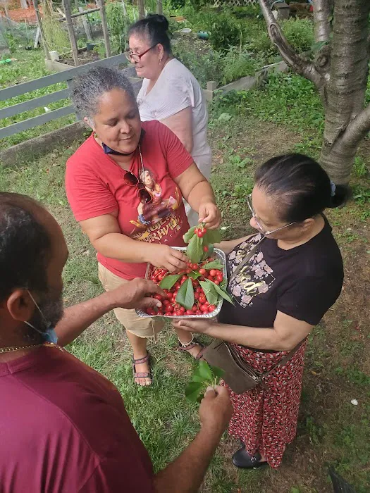 Las Casitas Community Garden Picture 2
