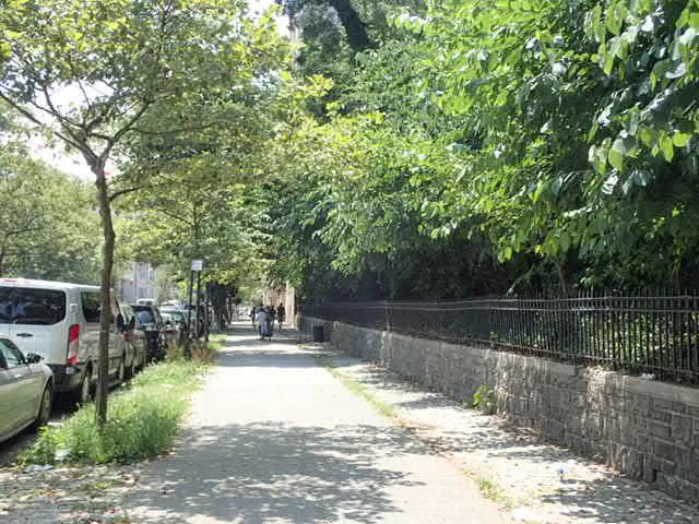 Jerome Slope Picture 8