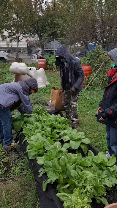 Taqwa Community Farm Picture 6