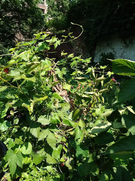 Taqwa Community Farm Picture 2