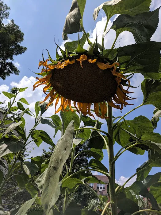 Taqwa Community Farm Picture 9