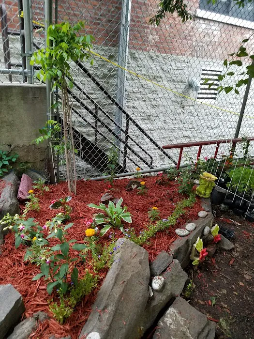 La Isla Garden Picture 9