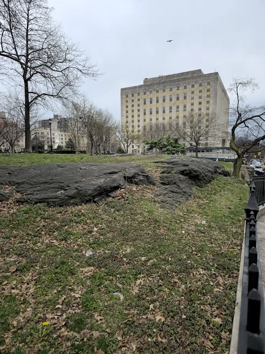 Joyce Kilmer Park Picture 7