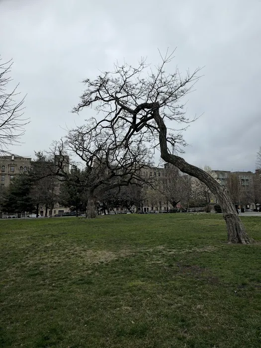Joyce Kilmer Park Picture 10