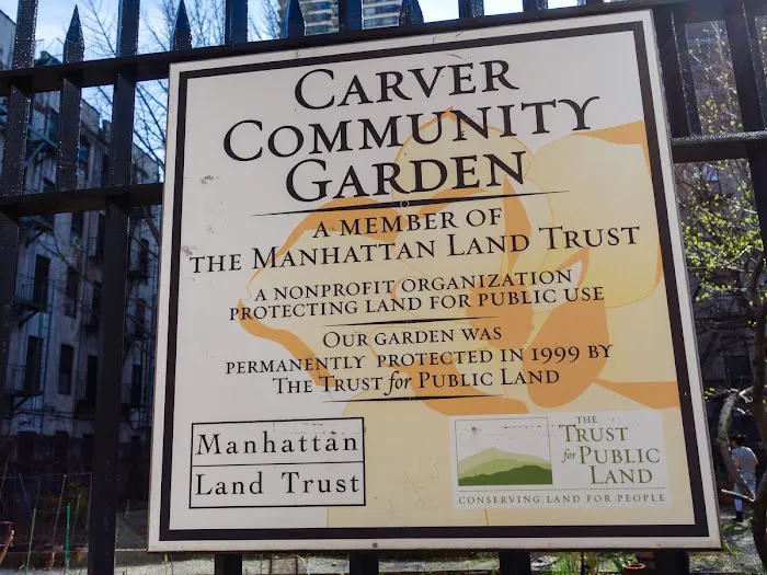 Carver Community Garden Picture 4