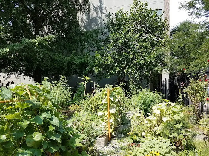 Carver Community Garden Picture 1