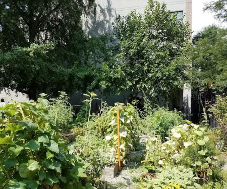 Carver Community Garden