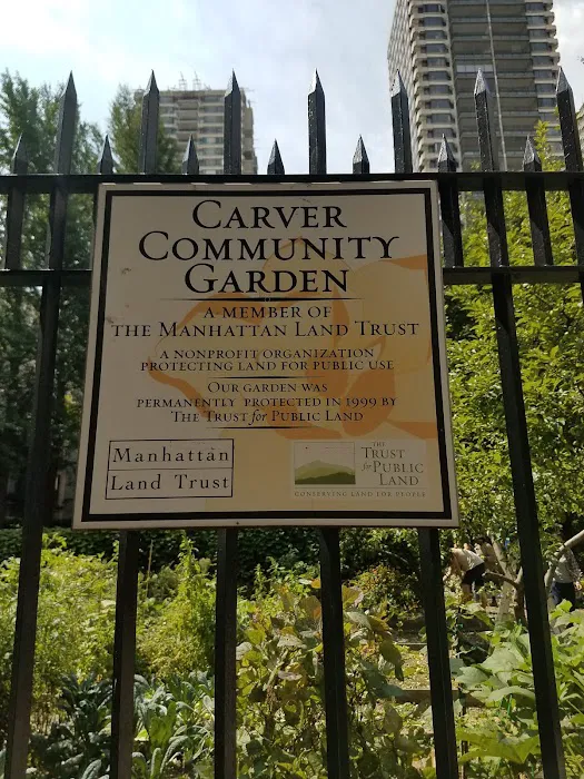Carver Community Garden Picture 5