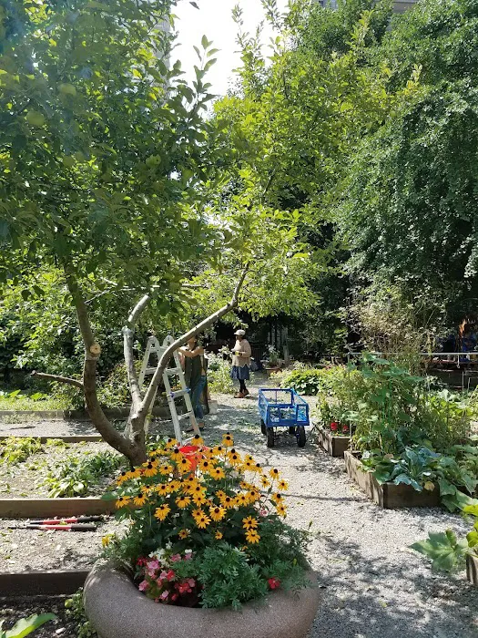 Carver Community Garden Picture 6