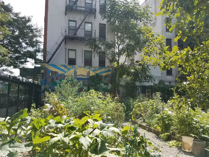 Carver Community Garden Picture 3