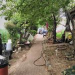 Papo's Garden
