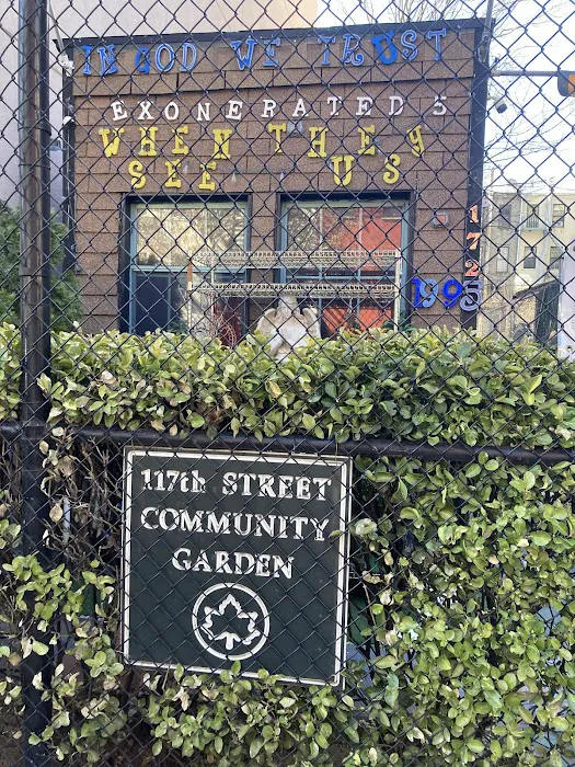 117th Street Community Garden Picture 2