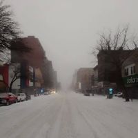 Harlem Art Park ico