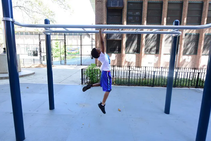 James Weldon Johnson Playground Picture 8