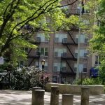 Ruppert Park