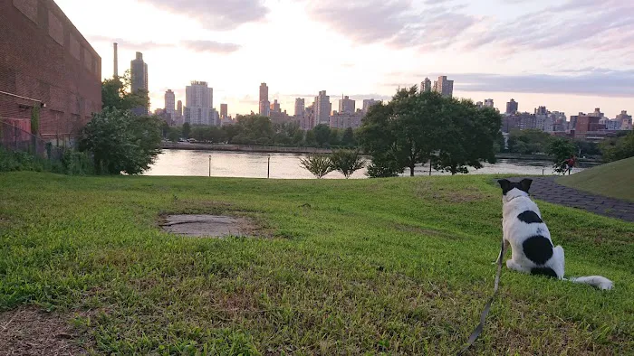 Rainey Park Picture 2