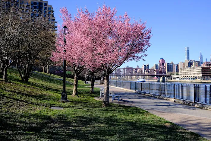 Rainey Park Picture 7