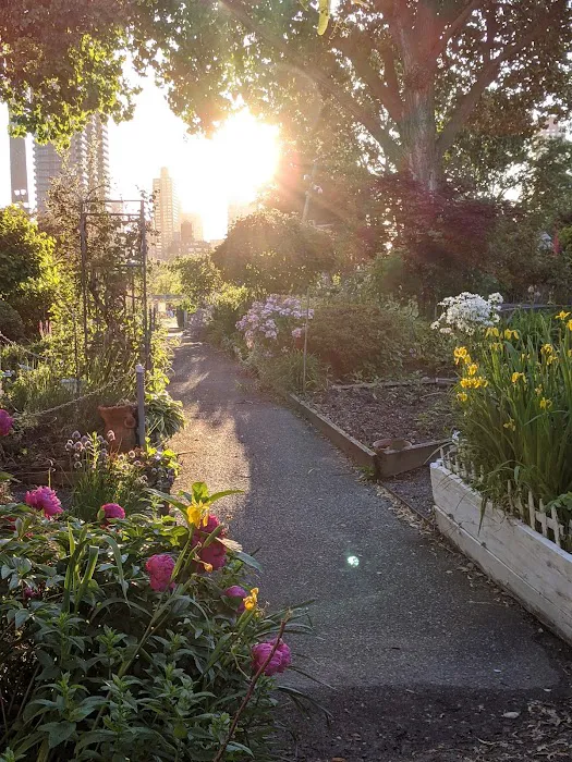 Roosevelt Island Garden Club Picture 8