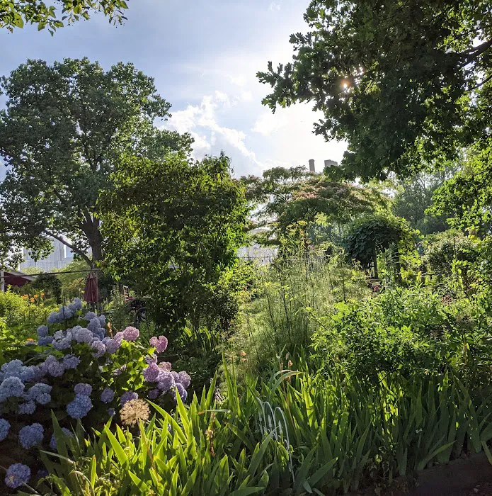 Roosevelt Island Garden Club Picture 6