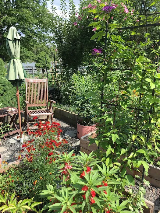 Roosevelt Island Garden Club Picture 4