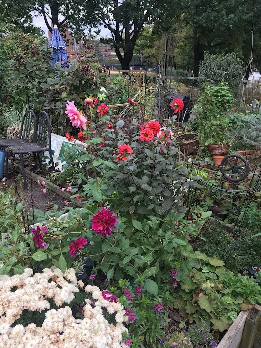 Roosevelt Island Garden Club Picture 2